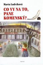 Co vy na to, pane Komenský? - Marta Ludvíková - e-kniha