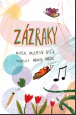 Zázraky - Valentín Šefčík