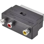 Cinch / SCART adaptér SpeaKa Professional SP-7870340, černá