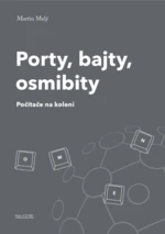 Porty, bajty, osmibity - Martin Malý - e-kniha