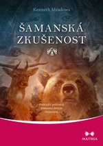 Šamanská zkušenost - Kenneth Meadows - e-kniha