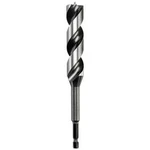 Hadovitý vrták 20 mm kwb 042820, uchycení 1/4" (6,3 mm), délka 165 mm 1 ks