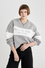 DEFACTO Relax Fit Crew Neck Printed Thick Sweatshirt