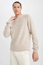 DEFACTO Men's Beige Standard Fit Regular Cut Crew Neck Textured Basic Knitwear Sweater