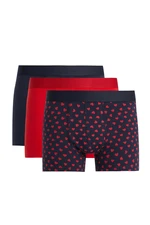 DEFACTO Regular Fit Heart Patterned 3-Pack Boxer