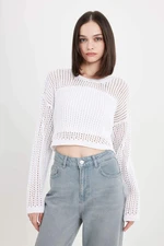 DEFACTO Regular Fit Crew Neck Crochet Sweater