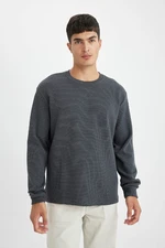 DEFACTO Regular Fit Crew Neck Waffle Long Sleeve T-Shirt