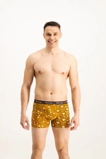 Men's boxers Frogies Zodiac Byk