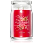 Yankee Candle Sparkling Cinnamon vonná svíčka 567 g