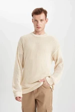 DEFACTO Regular Fit Long Sleeve Sweatshirt