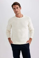 DEFACTO Standard Fit Crew Neck Knitwear Pullover