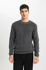 DEFACTO Standard Fit Crew Neck Sweater