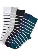 Small Stripe Socks 5-Pack Winter Color