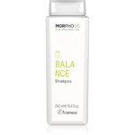 Framesi Morphosis Balance Shampoo čistiaci šampón na mastné vlasy 250 ml