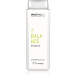 Framesi Morphosis Balance Shampoo čistiaci šampón na mastné vlasy 250 ml