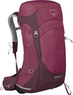 Osprey Sirrus 26 Elderberry Purple/Chiru Tan Outdoor Sac à dos