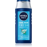 NIVEA MEN Cool šampón pre normálne až mastné vlasy pre mužov 250 ml