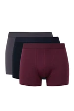 DEFACTO 3-Pack Boxer