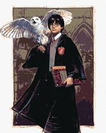 Zuty Picturi pe numere Harry Potter și Hedwig la Hogwarts