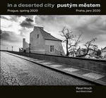 Pustým městem / In a Deserted City - Jiří Bilbo Reidinger