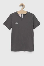 Dětské bavlněné tričko adidas Performance ENT22 TEE Y šedá barva, s aplikací