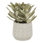 Sztuczny sukulent (wysokość 23 cm) Kalanchoe Tomentosa – Kave Home