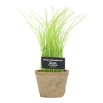 Sztuczna roślina (wysokość 27 cm) Chives – Esschert Design