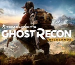 Tom Clancy's Ghost Recon Wildlands Ubisoft Connect Account