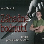 Různí interpreti – Mareš: Záhadné bodnutí CD