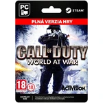 Call of Duty: World at War [Steam] - PC