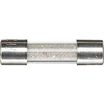 Trubičková pojistka Merten 551092, 551092, (Ø x d) 5 mm x 20 mm 10 A 250 V 1 ks