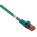 Síťový kabel RJ45 Basetech BT-1719374, CAT 6, U/UTP, 2.00 m, zelená