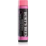 Burt’s Bees Tinted Lip Balm balzám na rty odstín Pink Blossom 4.25 g