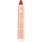 Yves Rocher Le Brillant hydratační rtěnka v tužce odstín 07 Rouge Cameli 2.2 g