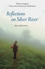 Reflections on Silver River