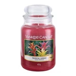 Yankee Candle Tropical Jungle 623 g vonná sviečka unisex