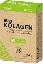 VITAR Kolagén Forte EKO 60 kapsúl