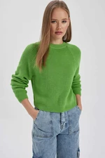 DEFACTO Regular Fit Crew Neck Knitwear Pullover