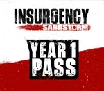 Insurgency: Sandstorm - Year 1 Pass DLC Steam CD Key