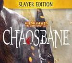 Warhammer: Chaosbane - Slayer Edition Upgrade Steam CD Key