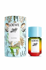 Loewe Paula S Ibiza Edt 50ml