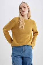 DEFACTO Regular Fit Crew Neck Basic Knitwear Sweater