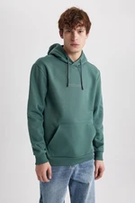 DEFACTO Regular Fit Hooded Printed Kangaroo Pocket Sweatshirt