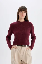 DEFACTO Regular Fit Crew Neck Premium Basic Plain Crop Sweater