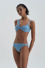 Dagi Blue Strapless Bikini Top