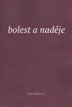 Bolest a naděje - Elen Plzáková