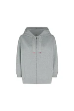 Tommy Hilfiger Sweatshirt - OVERSIZED FLAG HOODIE 7/8 SLV grey