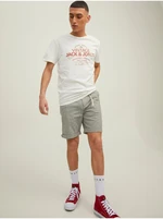 Light Green Annealed Chino Shorts Jack & Jones Sky - Men