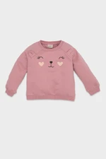 DEFACTO Baby Girl Regular Fit Crew Neck Animal Printed Soft Furry Thin Sweatshirt