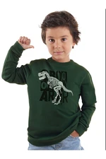 Denokids Roarr Dino Boy Khaki Sweatshirt